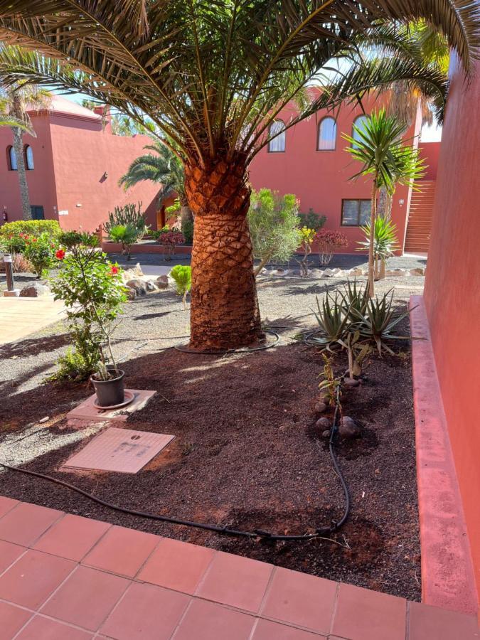 Апартаменти Casa Mimi Oasis Tamarindo Корралехо Екстер'єр фото